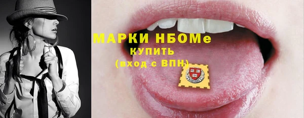 амф Бородино