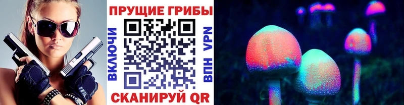 блэк спрут ТОР  Кирс  Псилоцибиновые грибы прущие грибы 
